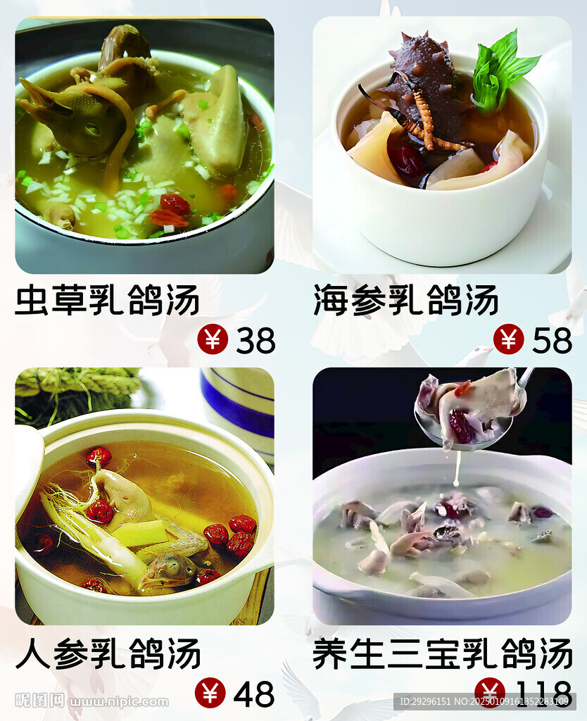 乳鴿湯