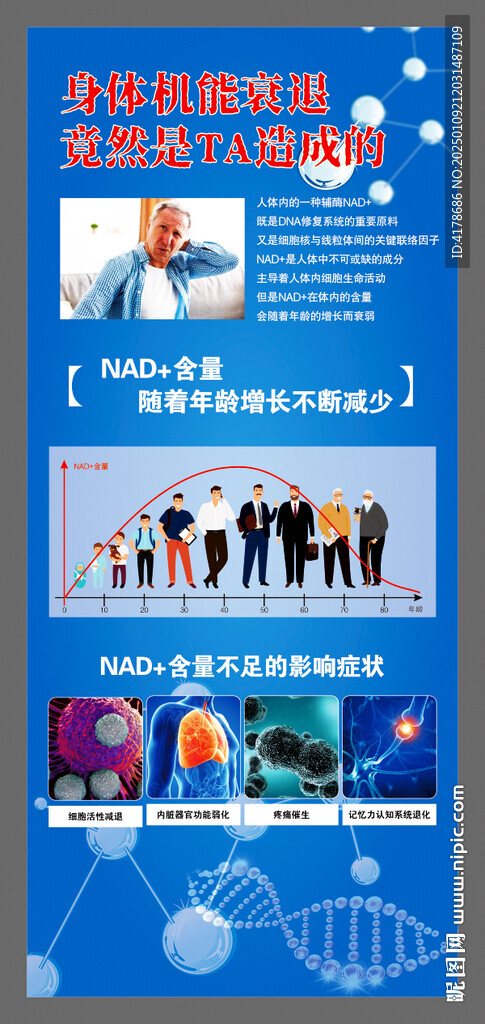 NAD細胞含量