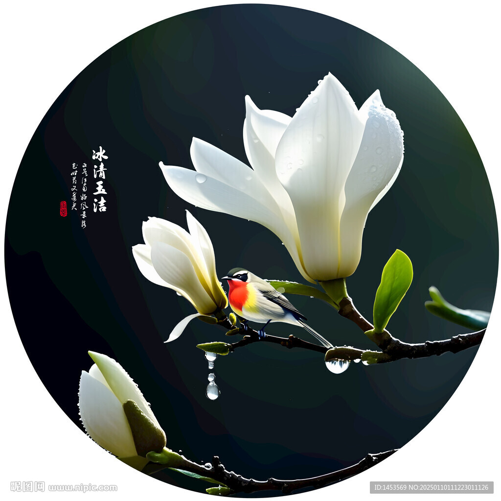 玉蘭花