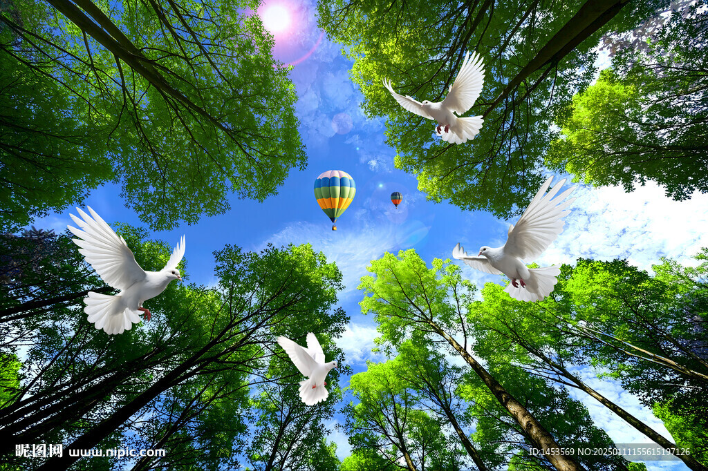 藍天白云森林仰望天空