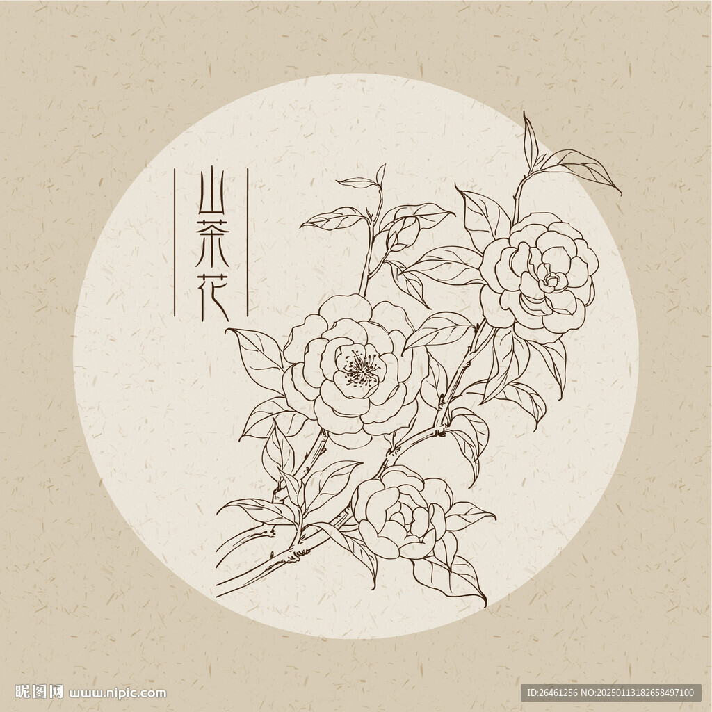 山茶花