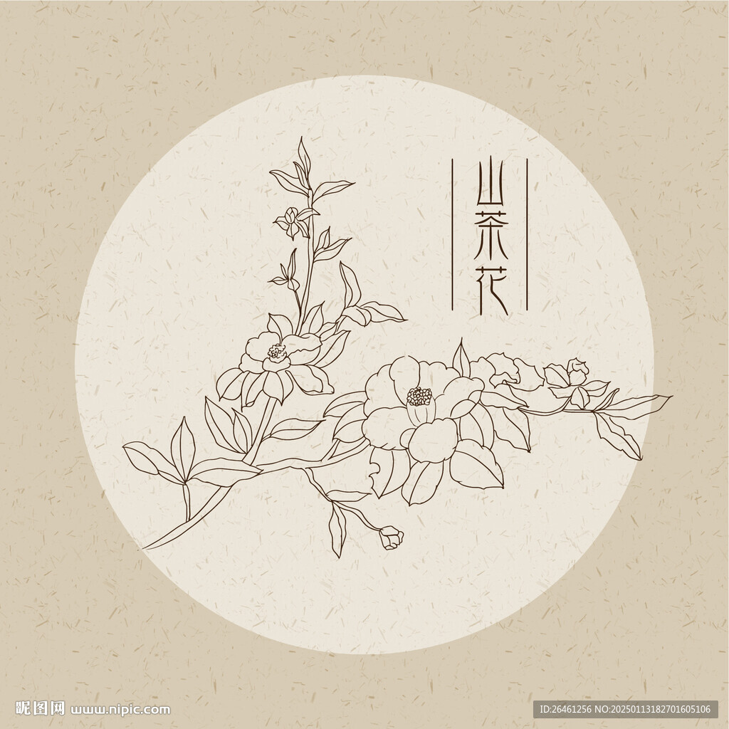 山茶花