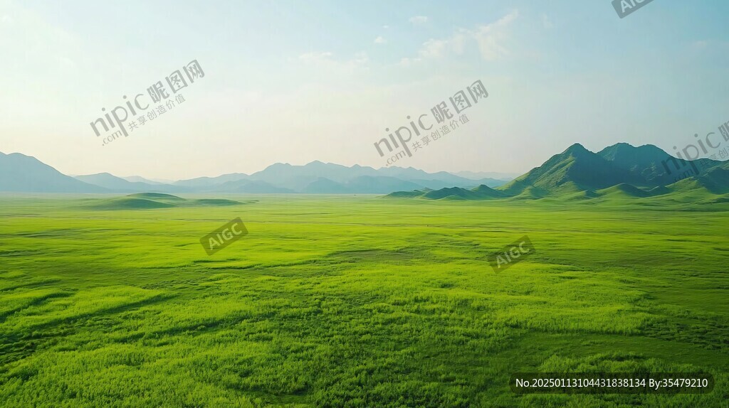 黃綠色草海