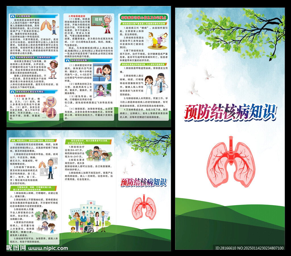 結核病日三折頁