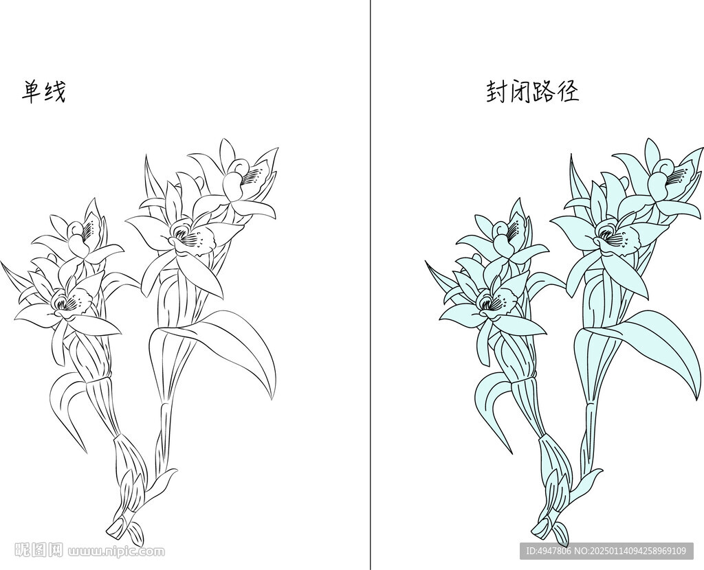 蘭花 矢量圖