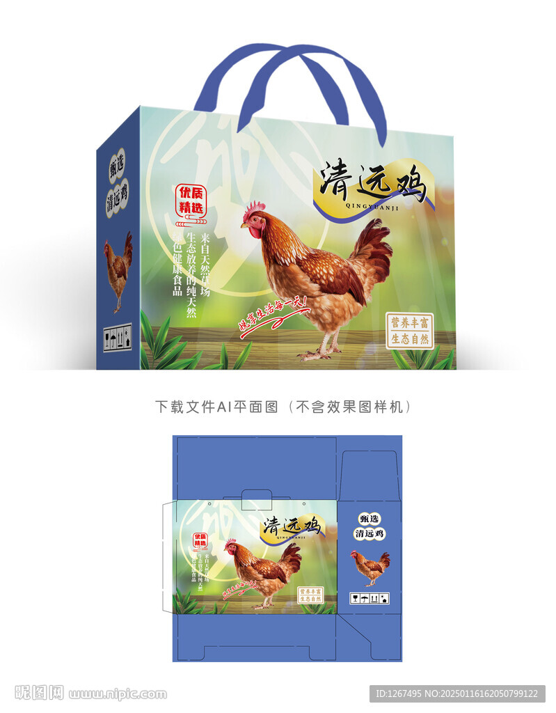 清遠(yuǎn)雞設(shè)計(jì)