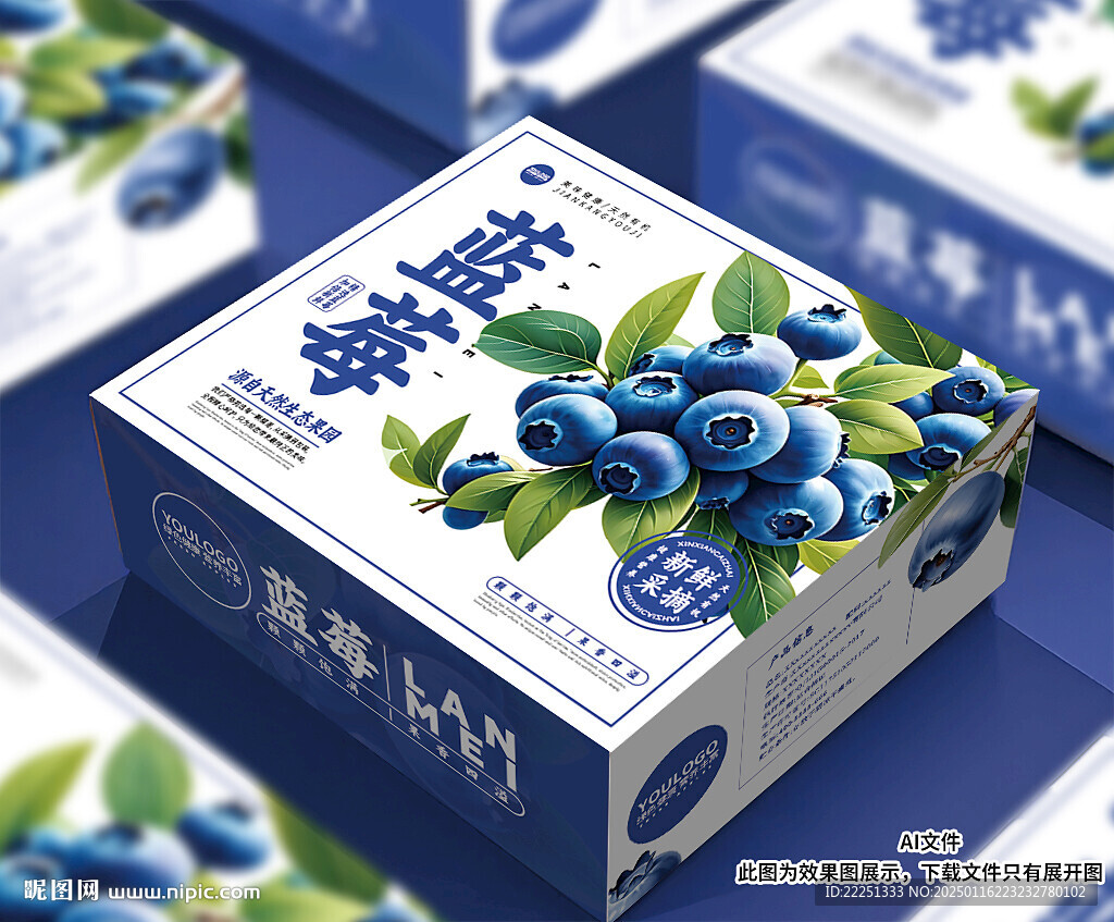 藍莓包裝箱