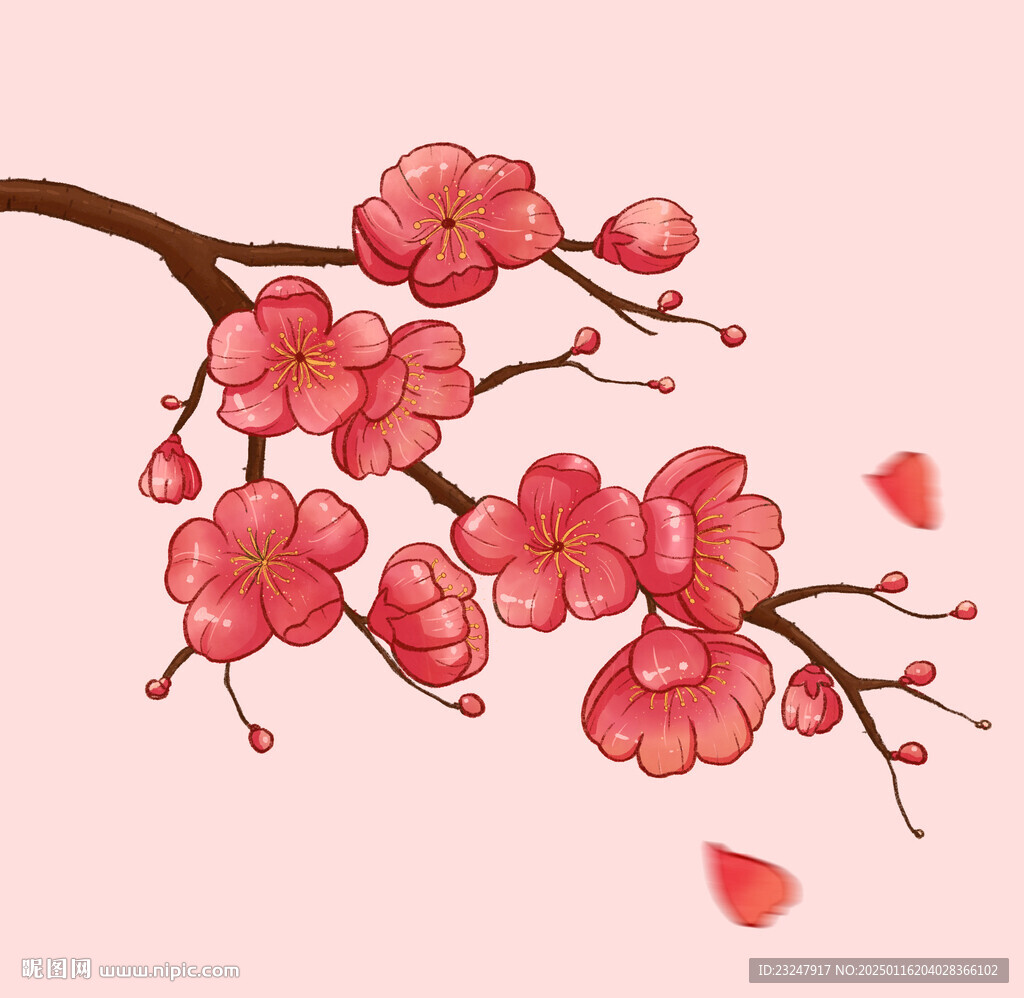 梅花手繪素材
