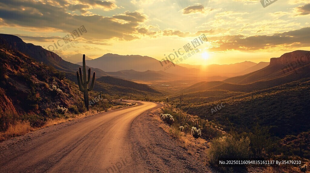 唯美夕陽小路