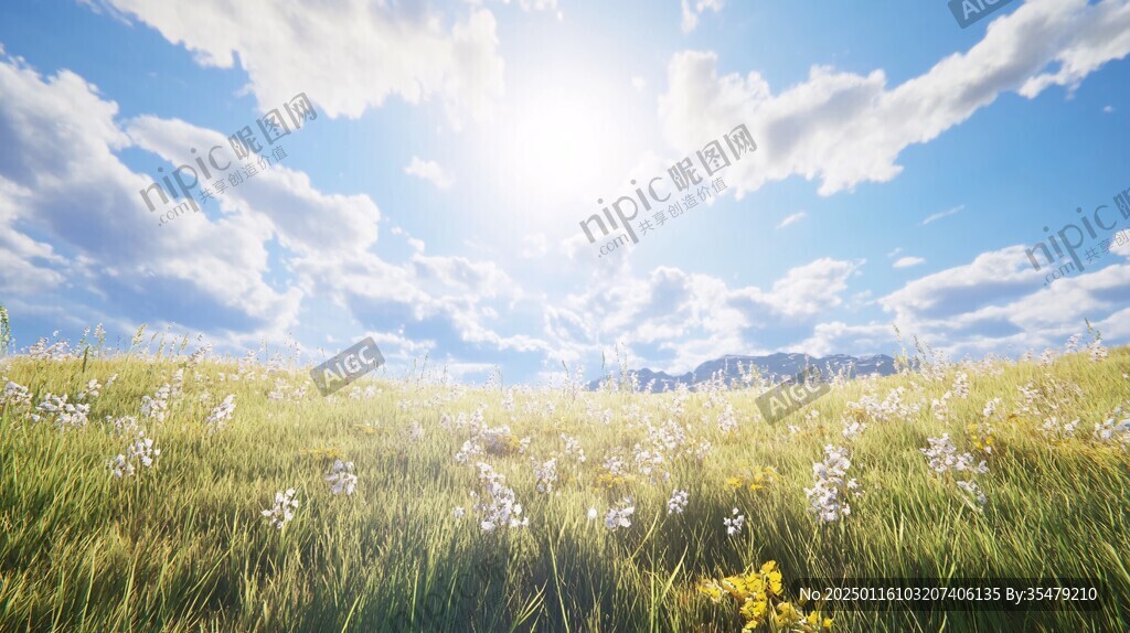唯美夢幻花田場景