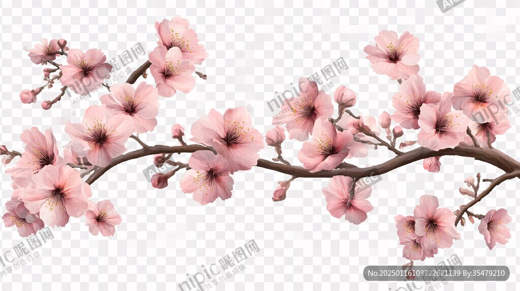 免扣櫻花