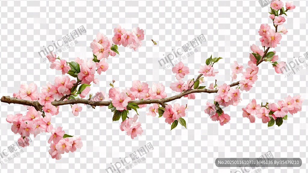 手繪桃花桃枝桃樹