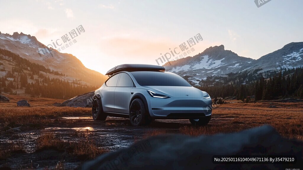特斯拉汽車