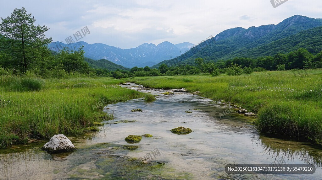 秦嶺濕地