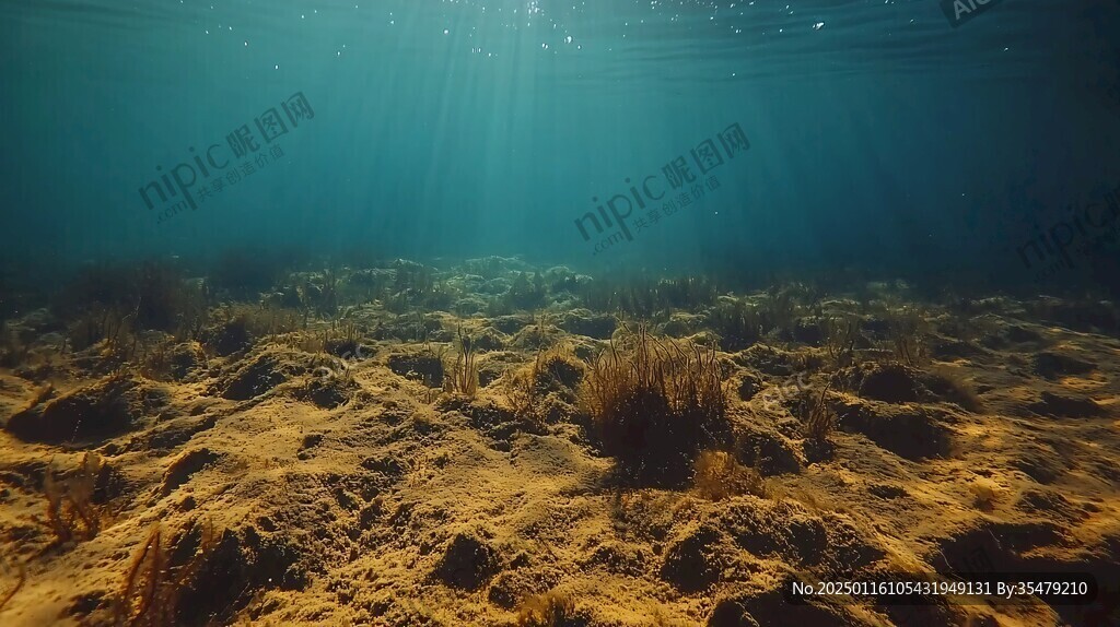 水下砂灘