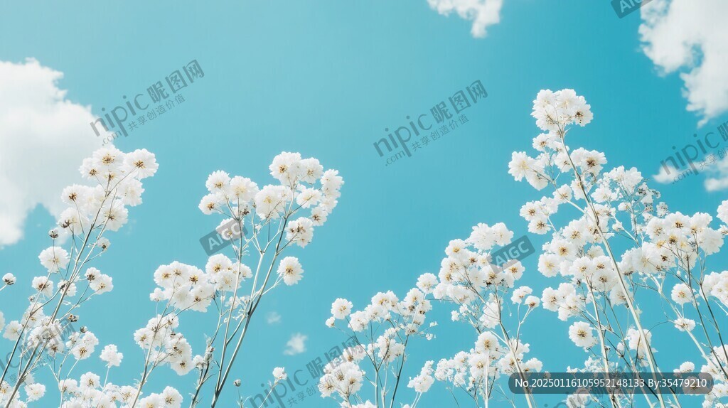 仰望藍天白云鮮花