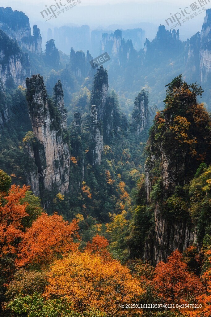 神堂灣遠(yuǎn)眺