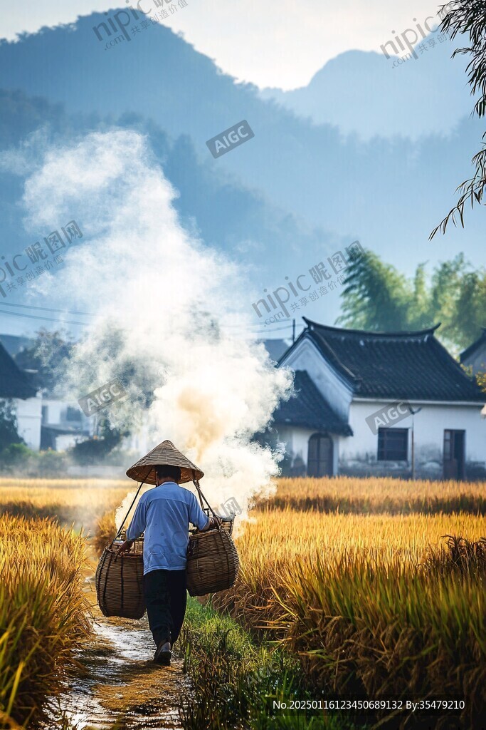 拾稻穗