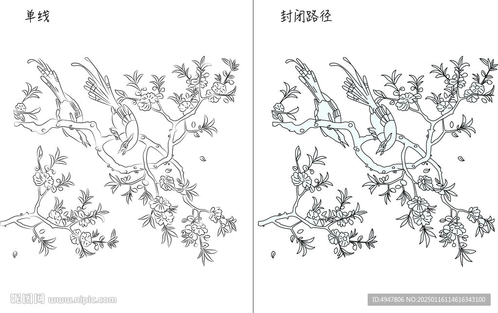 花與鳥 矢量圖