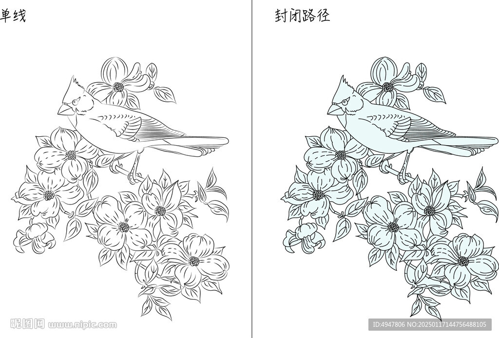 花與鳥 矢量圖