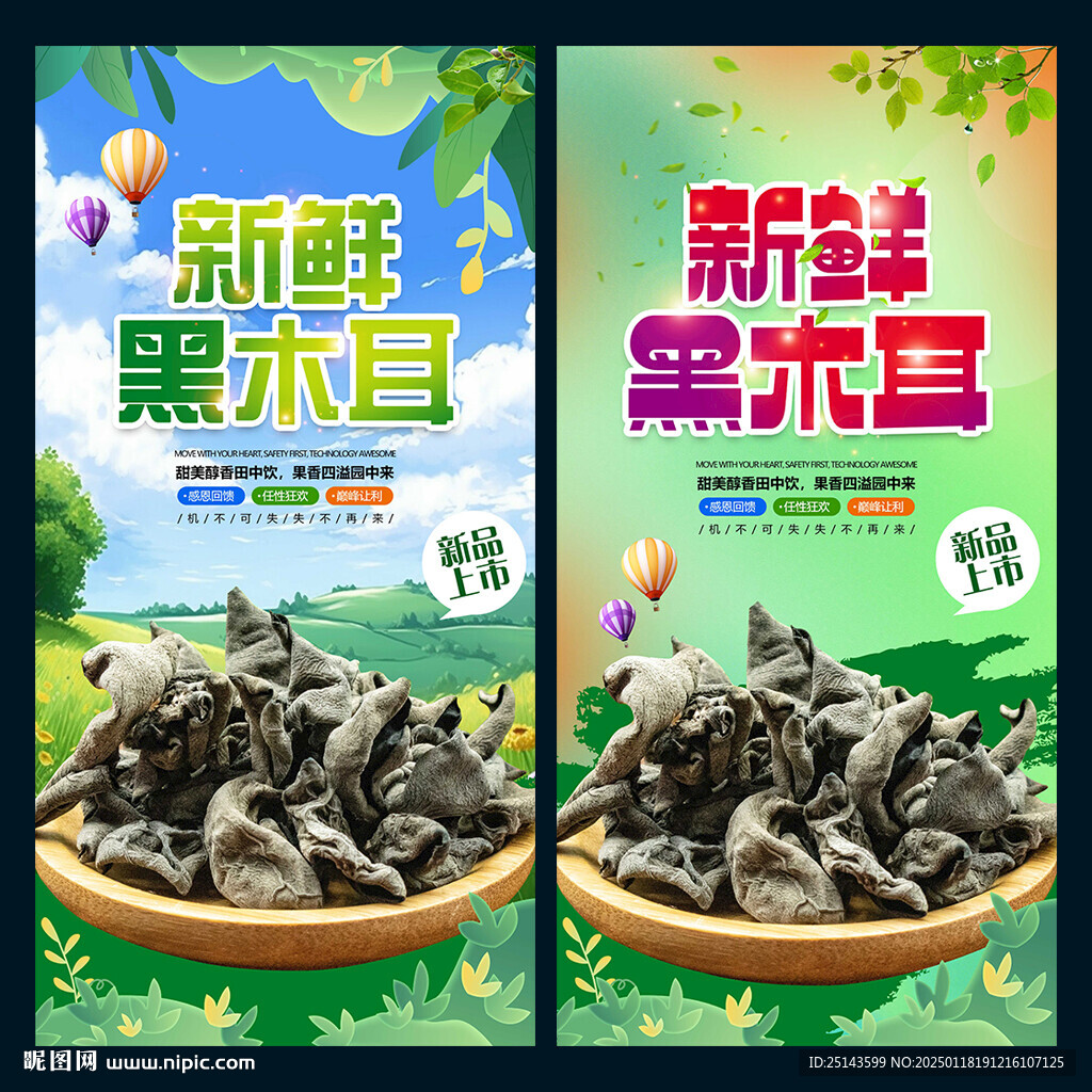 黑木耳