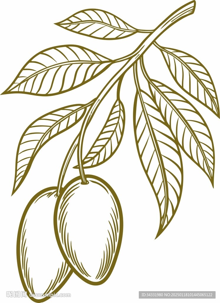 芒果插畫