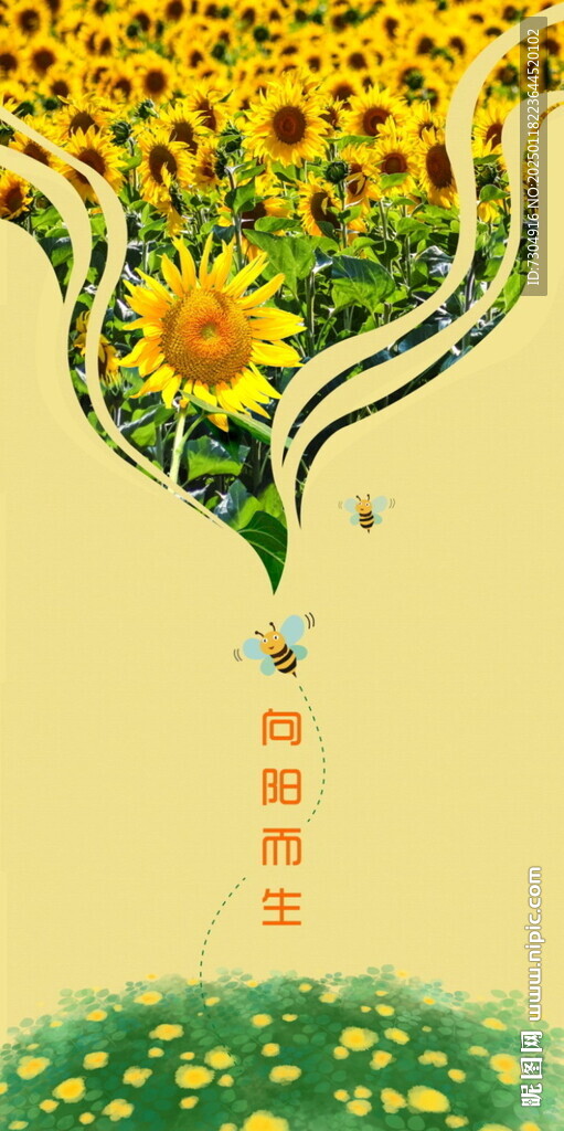 向陽而生 