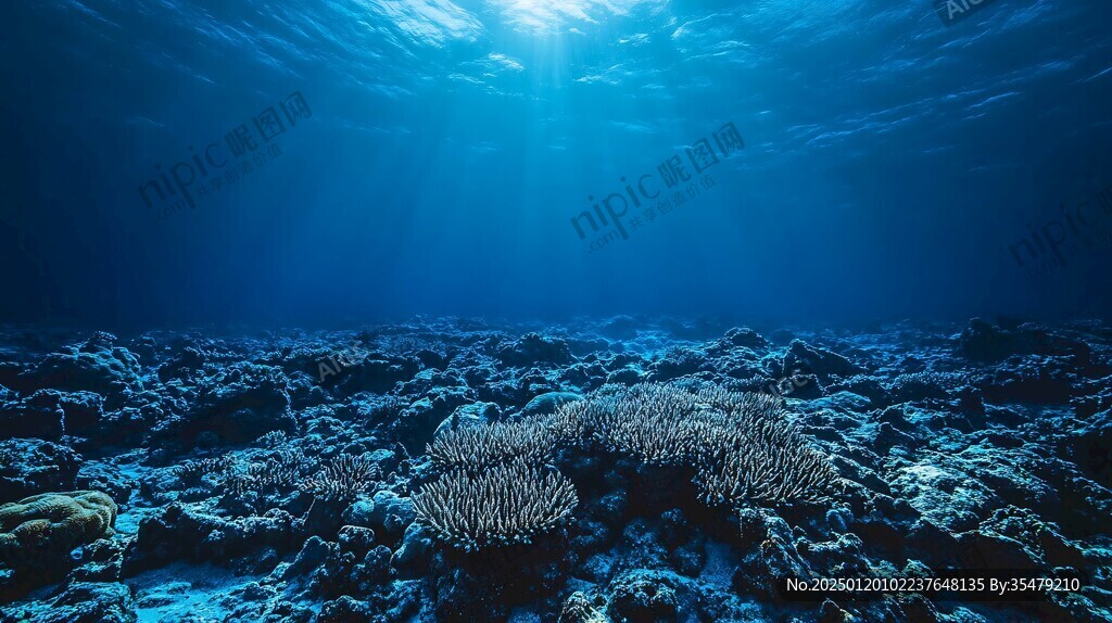 軟珊瑚海底風光