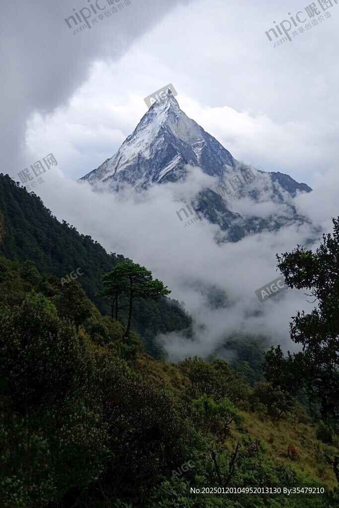 岡巴拉山云霧