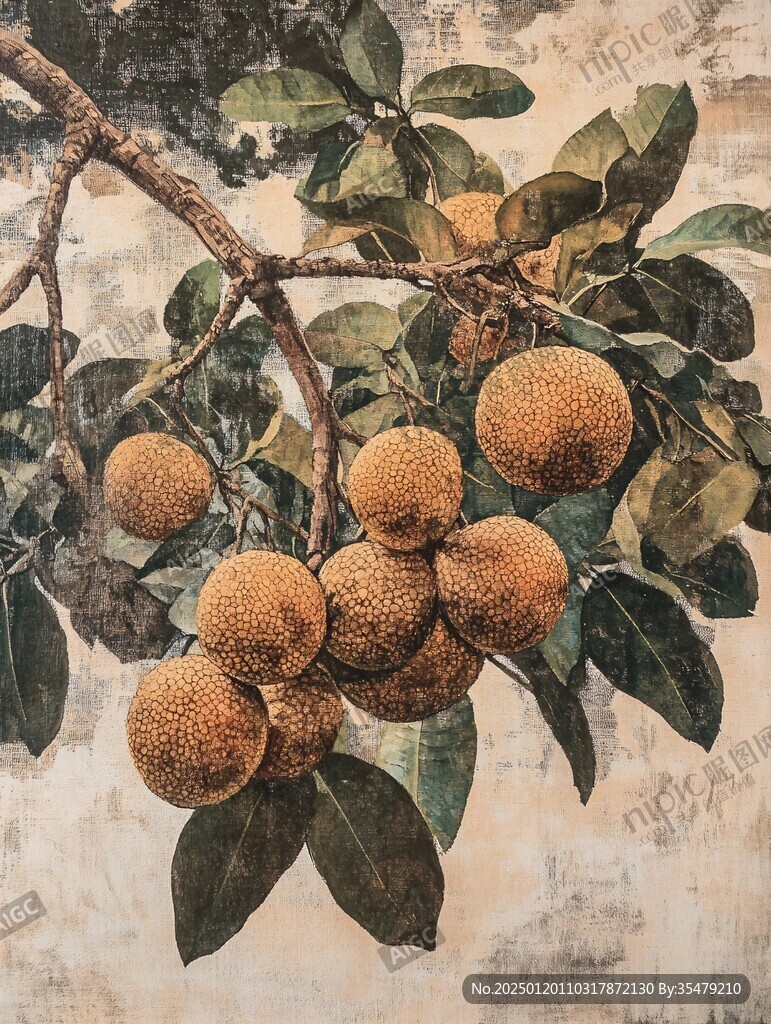 荔枝油畫