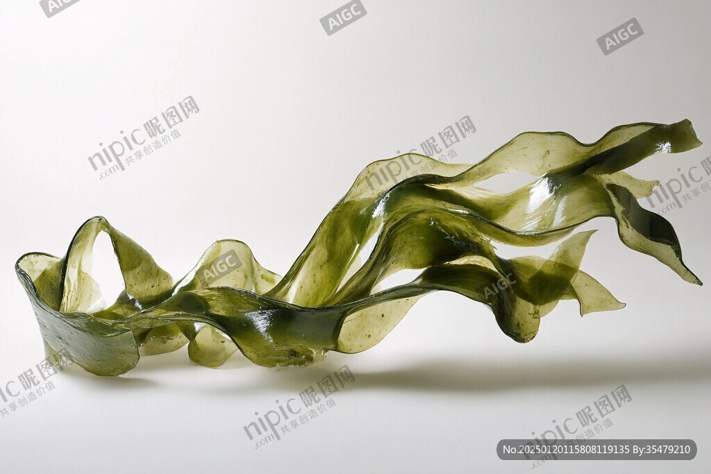 海帶結(jié)高清