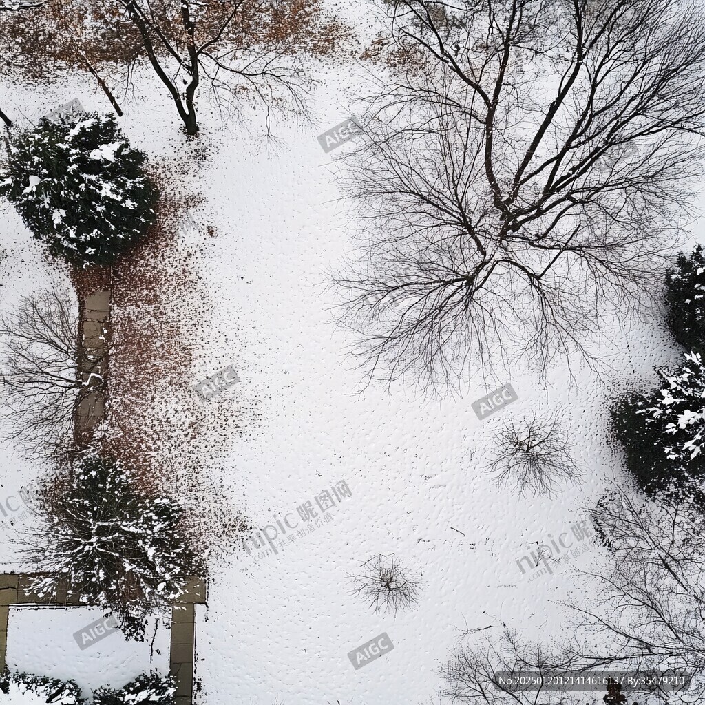 俯瞰園林雪景