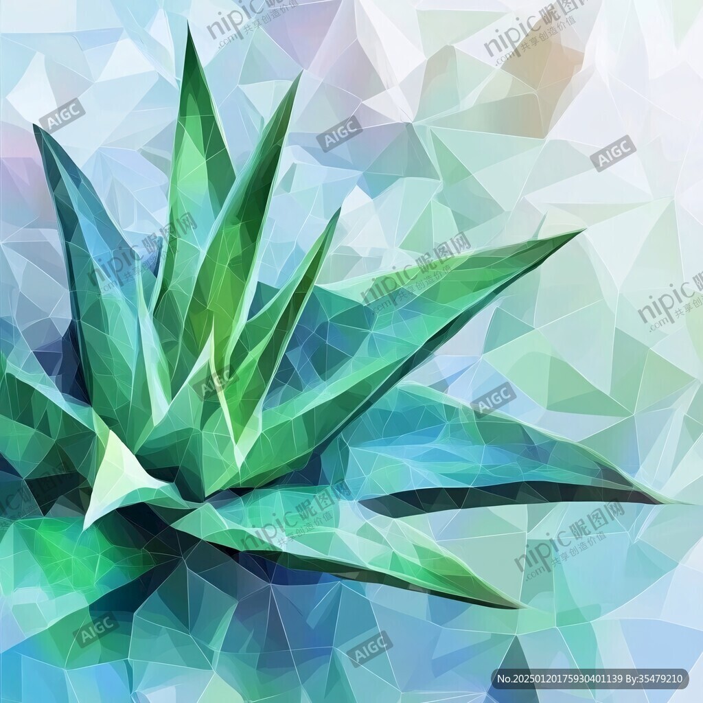 蘆薈插畫