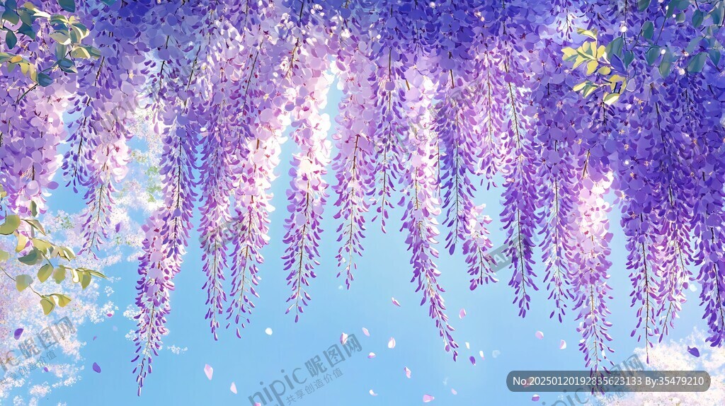紫藤花背景