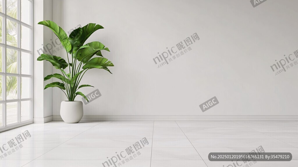 房間里的植物