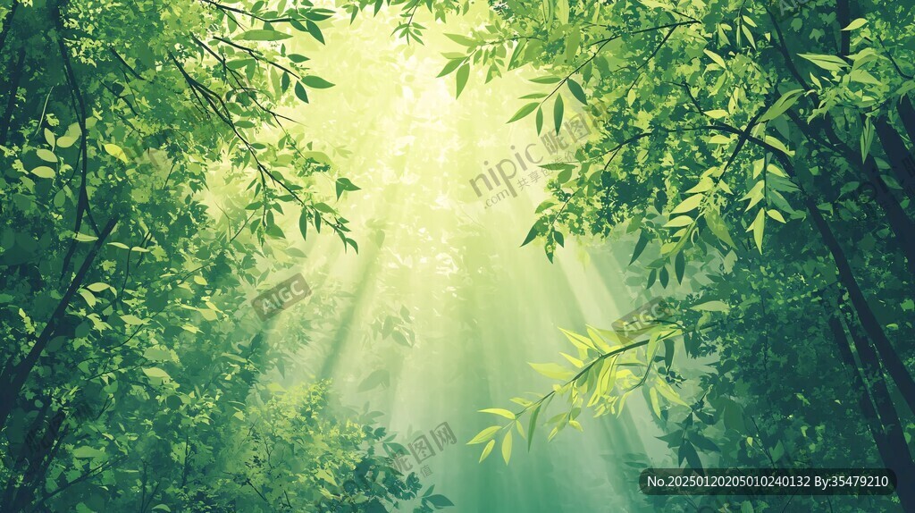 陽光竹林高清