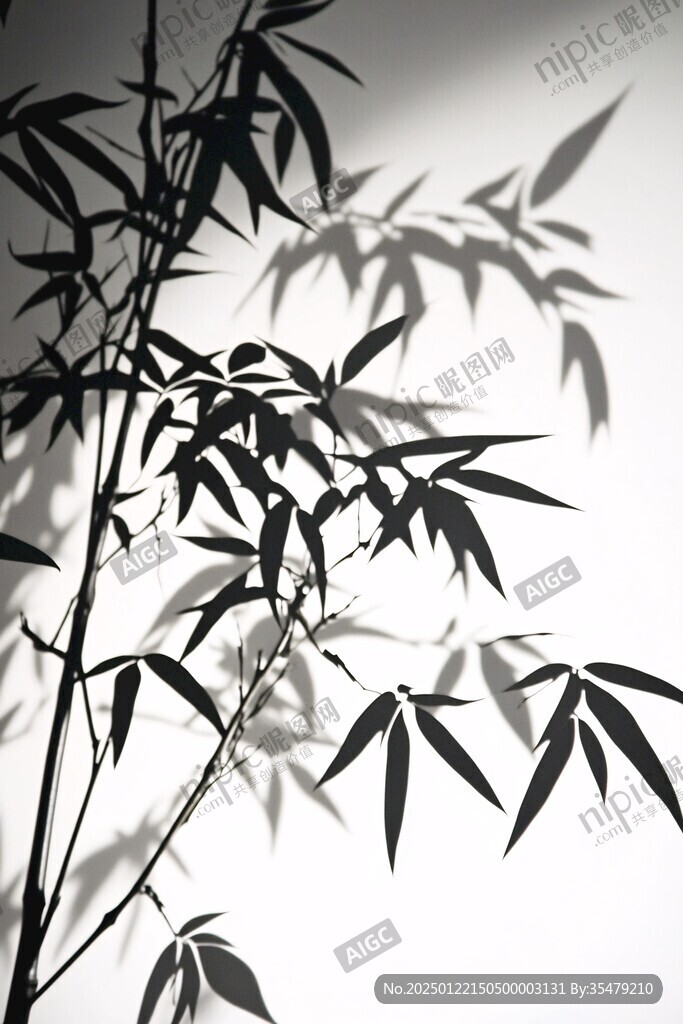 竹枝光影