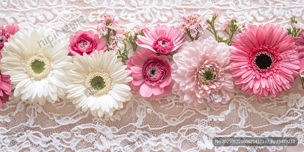 粉菊花背景墻