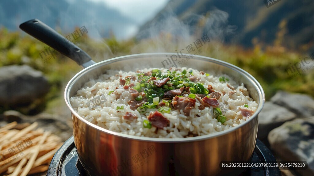 戶(hù)外野米飯