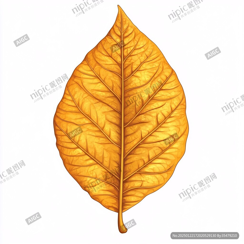 手繪樹葉png素材