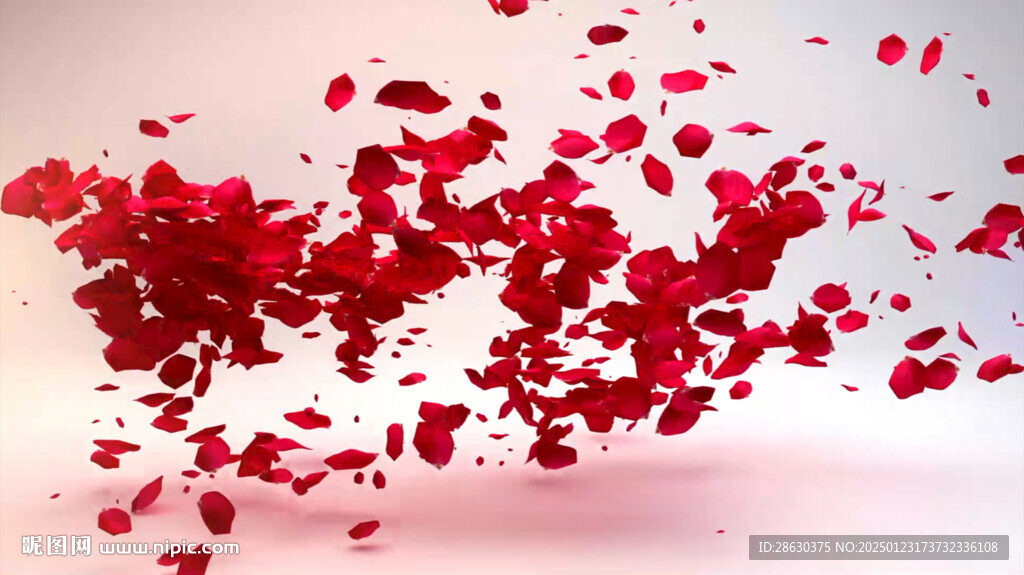 婚禮婚慶現(xiàn)場(chǎng)愛(ài)心花瓣開場(chǎng)視頻