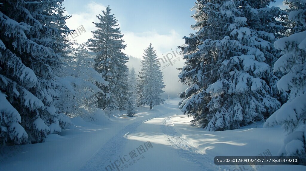 高清大畫幅冬天雪景