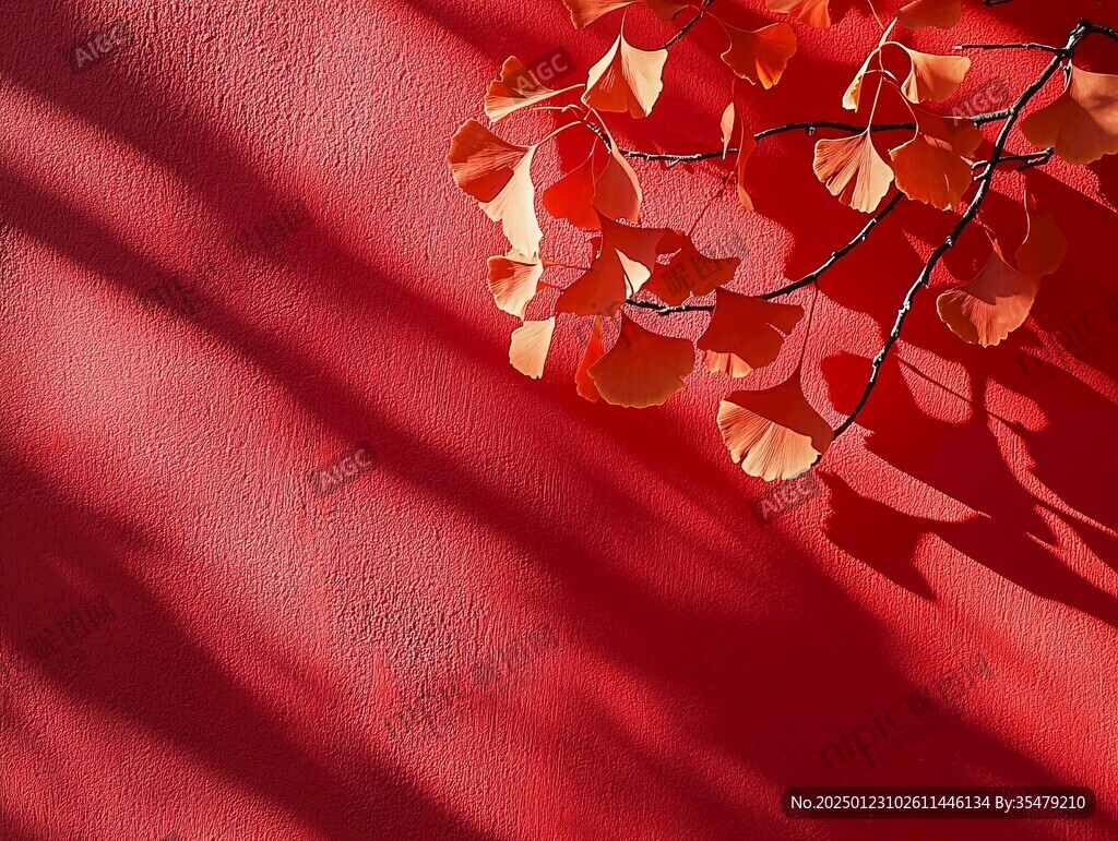 樹(shù)影紅墻