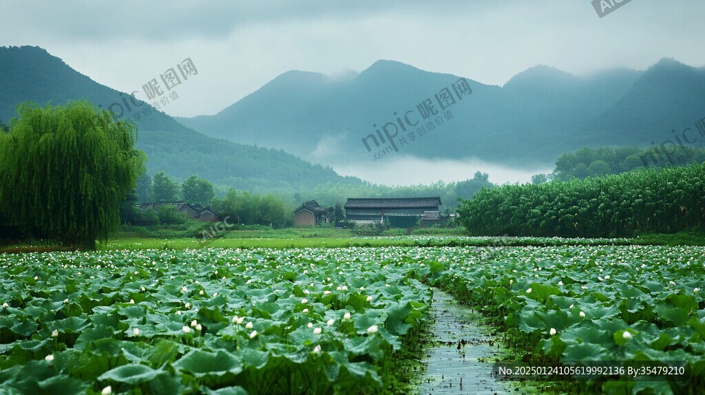 雨荷居