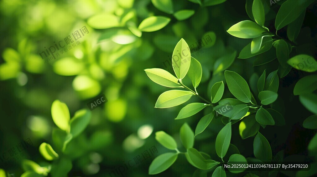 綠色植物壁紙