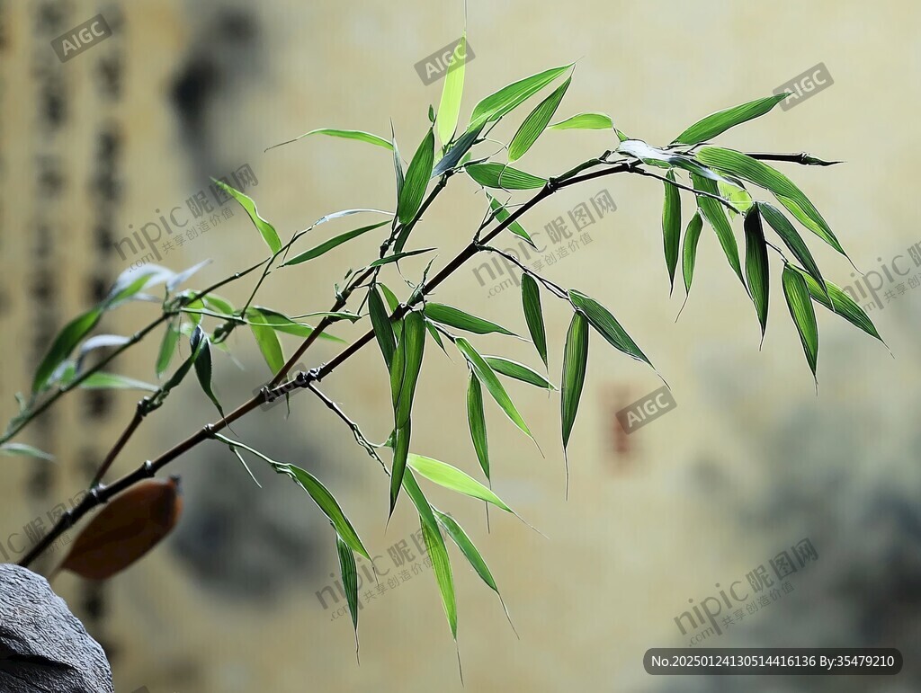 窗邊竹影微