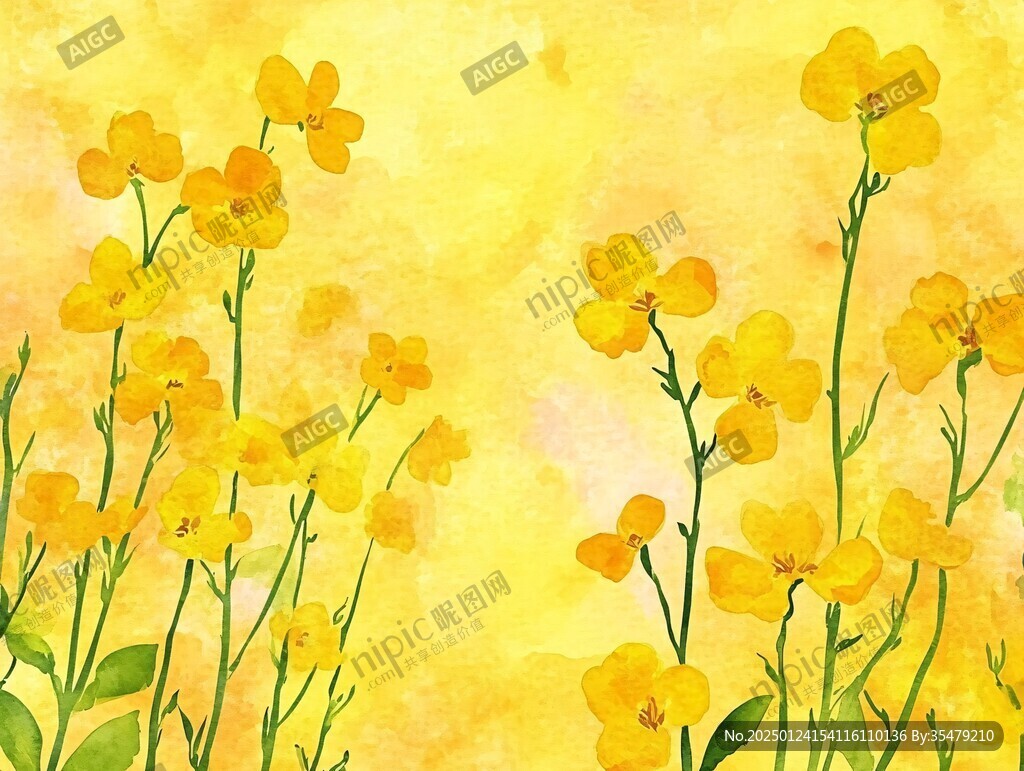 小蒼蘭插畫