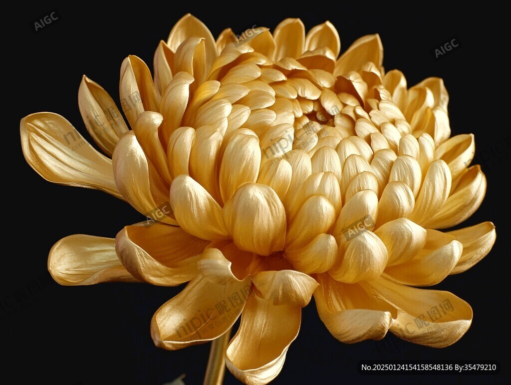 立體菊花