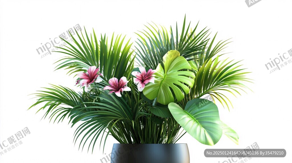 熱帶植物擺件