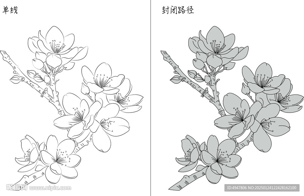 桃花 矢量圖